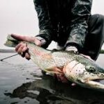 Common Fish Photography Mistakes and How to Fix Them