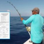 Fishing Rules You Should Always Follow Ethical Fishing Practices You Must Know