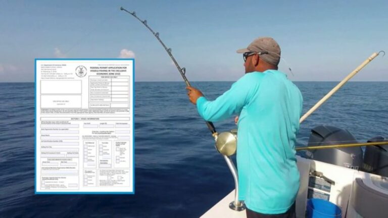Ethical Fishing Practices You Must Know