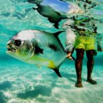 Fish Photography for Social Media: Tips to Stand Out