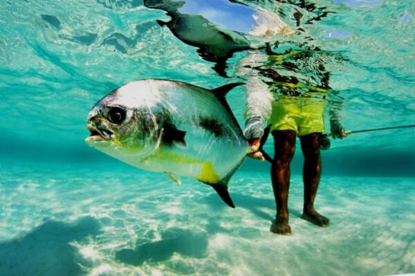 Fish Photography for Social Media: Tips to Stand Out