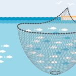 Ethical Fishing Practices You Must Know Ethical Fishing Practices You Must Know