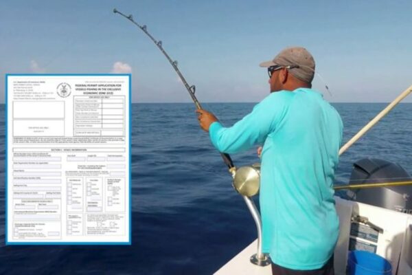 Fishing for Sustainability: What You Can Do