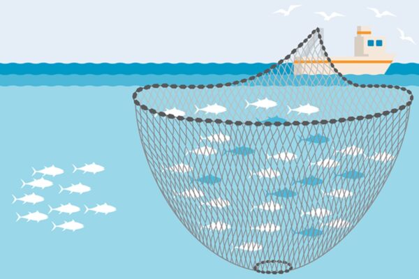 Ethical Fishing Practices You Must Know