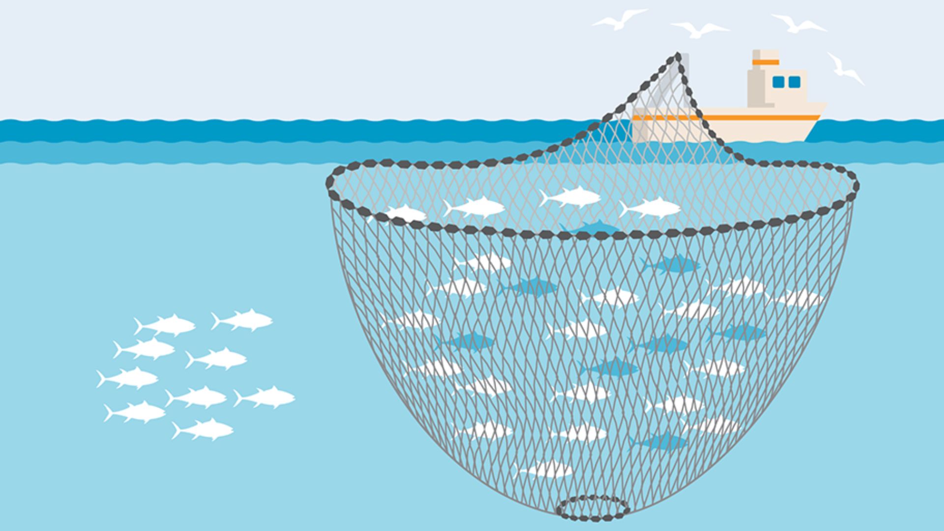Ethical Fishing Practices You Must Know