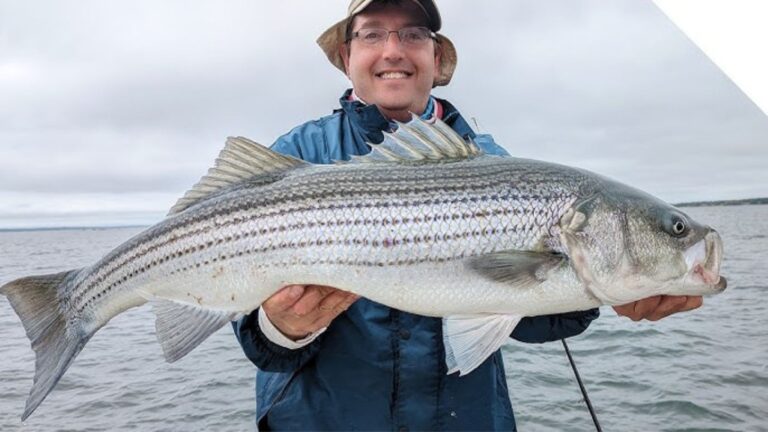 Freshwater vs Saltwater: Fishing Differences