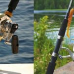 Freshwater vs. Saltwater Fishing: Key Differences Freshwater vs. Saltwater Fishing Key Differences