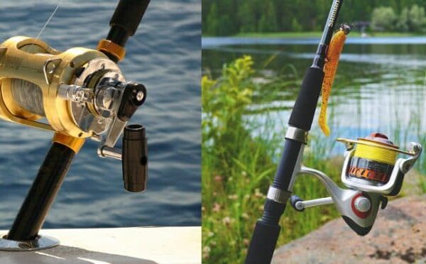 Freshwater vs. Saltwater Fishing Key Differences