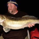 How to Photograph Fish at Night How to Photograph Fish at Night