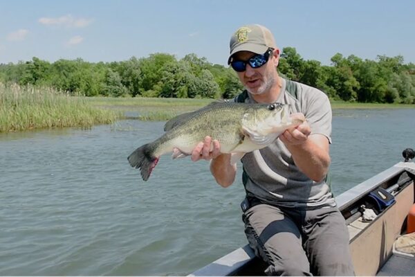 How to Properly Handle and Release Fish