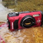 The Best Cameras for Capturing Fish in Motion The Best Cameras for Capturing Fish in Motion