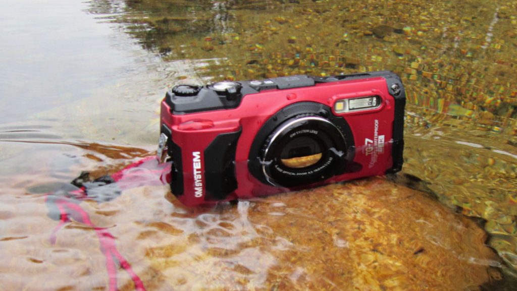 The Best Cameras for Capturing Fish in Motion