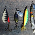 The Best Live Baits and Lures for Different Fish Species The Best Live Baits and Lures for Different Fish Species