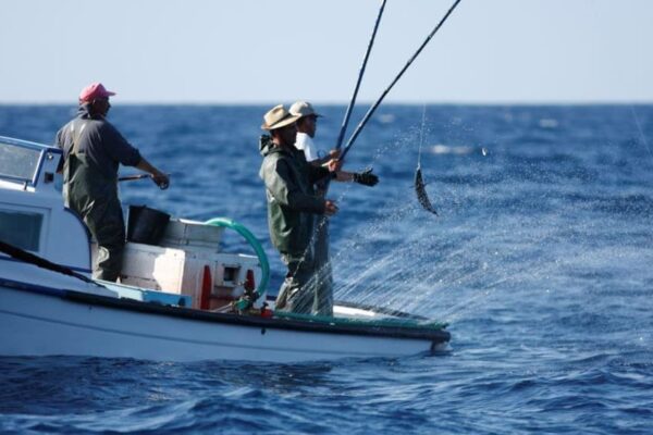The Most Common Fishing Mistakes and How to Avoid Them