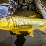 Top Fishing Destinations Around the World Top Fishing Destinations Around the World