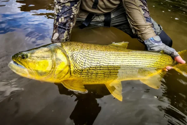 Top Fishing Destinations Around the World