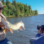 Tricks for Taking Fish Photos Without Blur