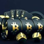 Wolf Winner Casino PayID Popularity 2026 Review Why Players Prefer It
